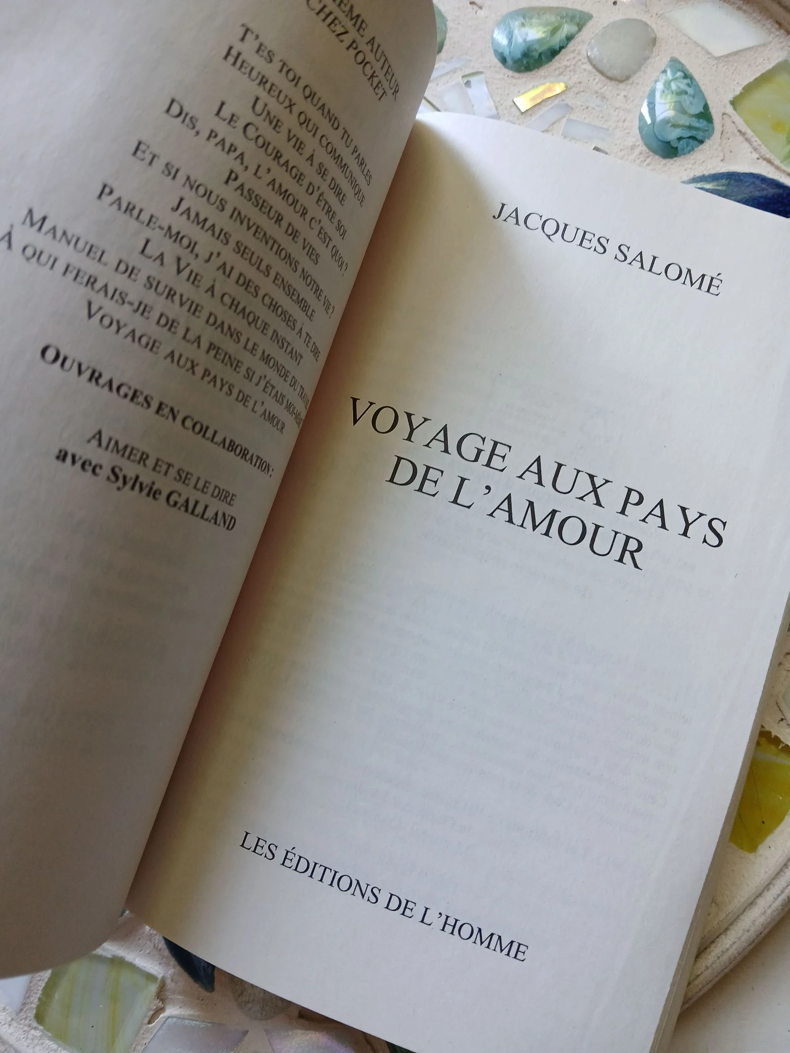 Boek voor op het strand Lezen voor de Liefde – photo 4